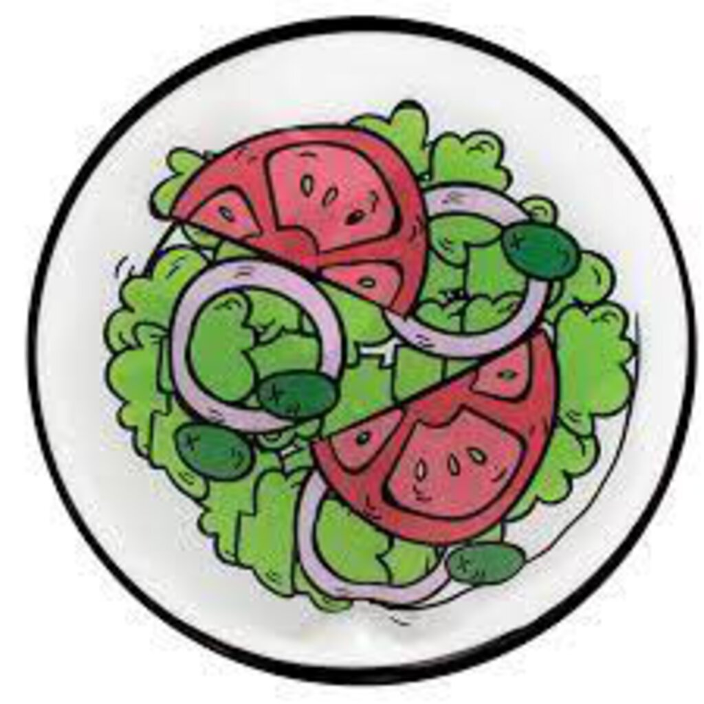 2 blocs refrigerants SALADE