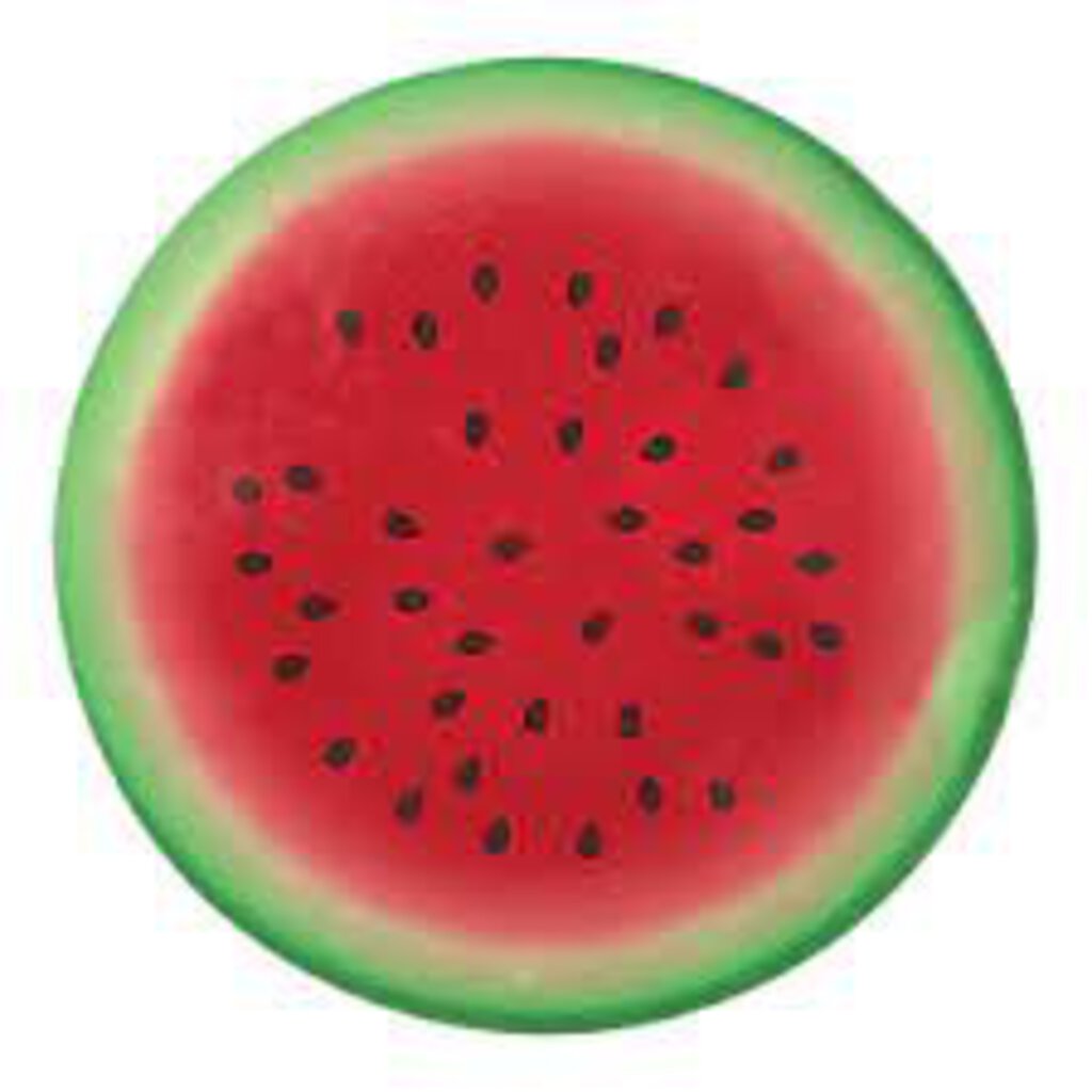 2 GRANDS blocs refrigerants MELON D EAU