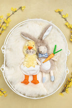Charger l'image dans la galerie, Jouet en peluche - La sourie lapin PETER cottontail the mouse
