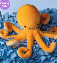 Charger l&#39;image dans la galerie, Peluche Smootheez PULPE OCTOPUS 10&#39;&#39;
