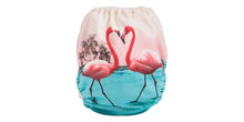 Charger l&#39;image dans la galerie, FLAMANT ROSE Couche maillot - 7-35 Lb
