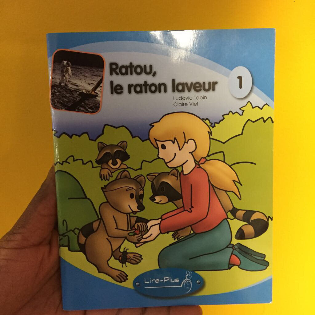 Ratou, le raton laveur