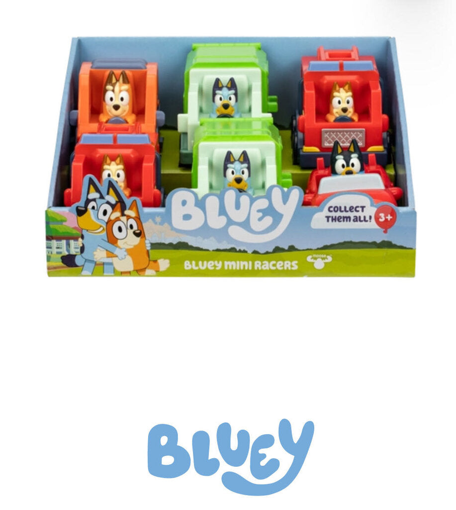 Mini racers BLUEY Assortis