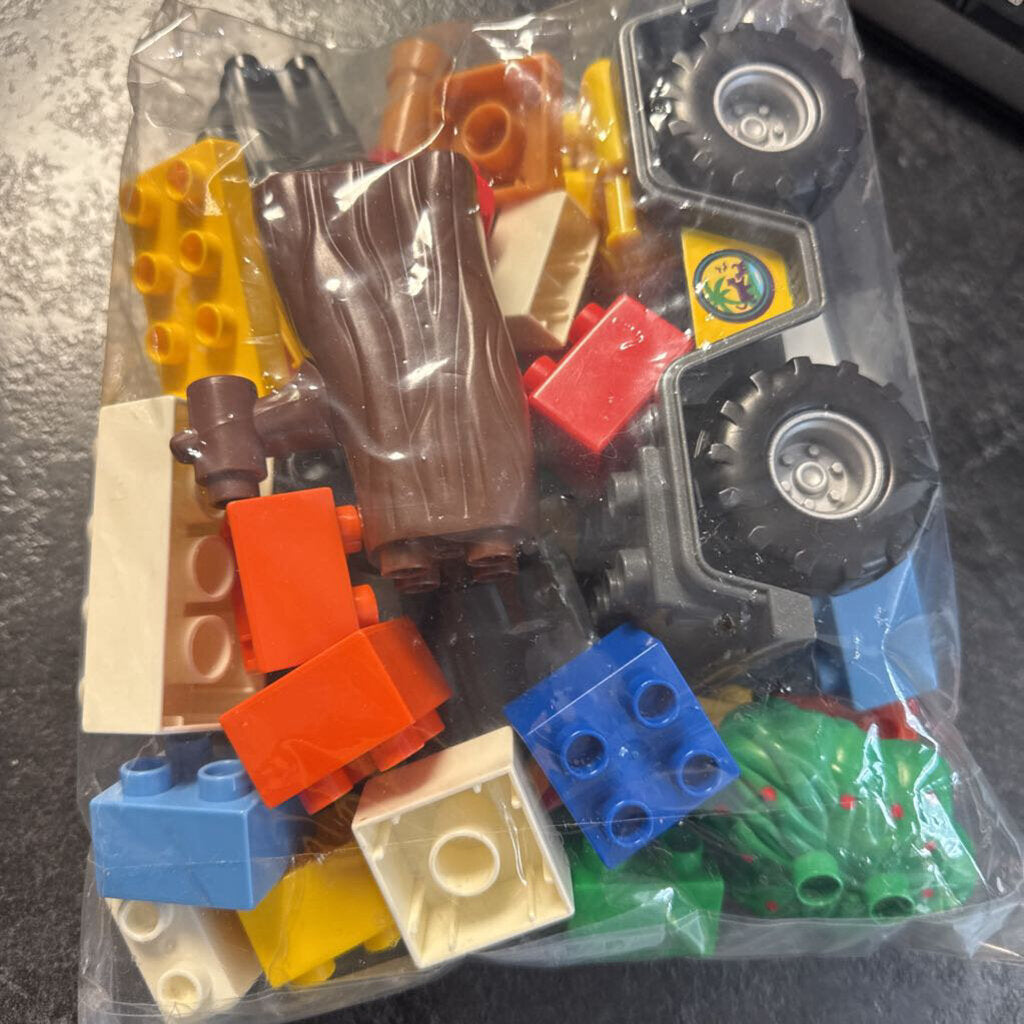 Lot de 35 blocs DUPLO assortis