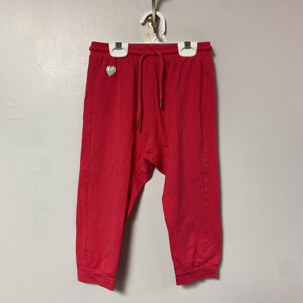 Survet CAPRI - 10 ans