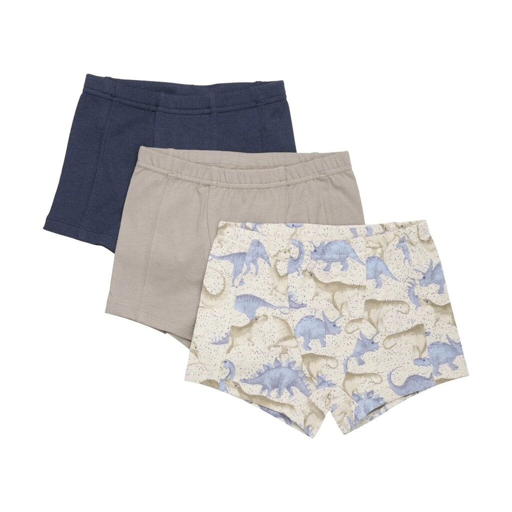 Paquet de 3 Coulottes BOXER Organic Cotton DINOS 5 ans