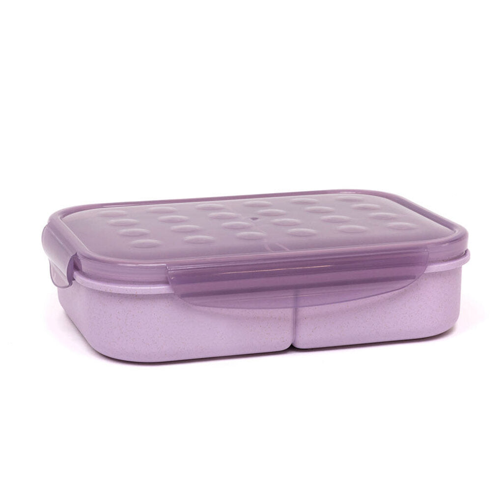 Boîte-repas biodégradable