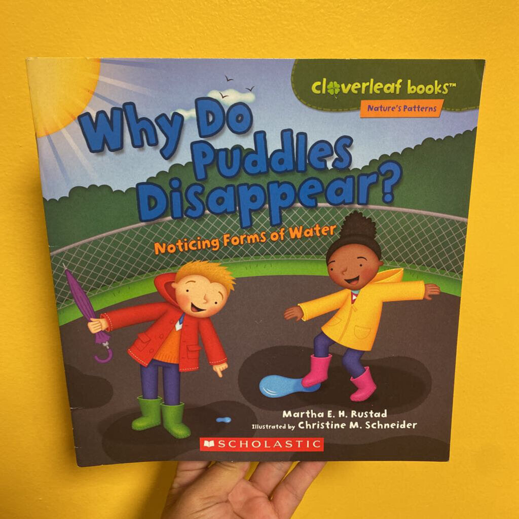 Why do puddles Disappear?
