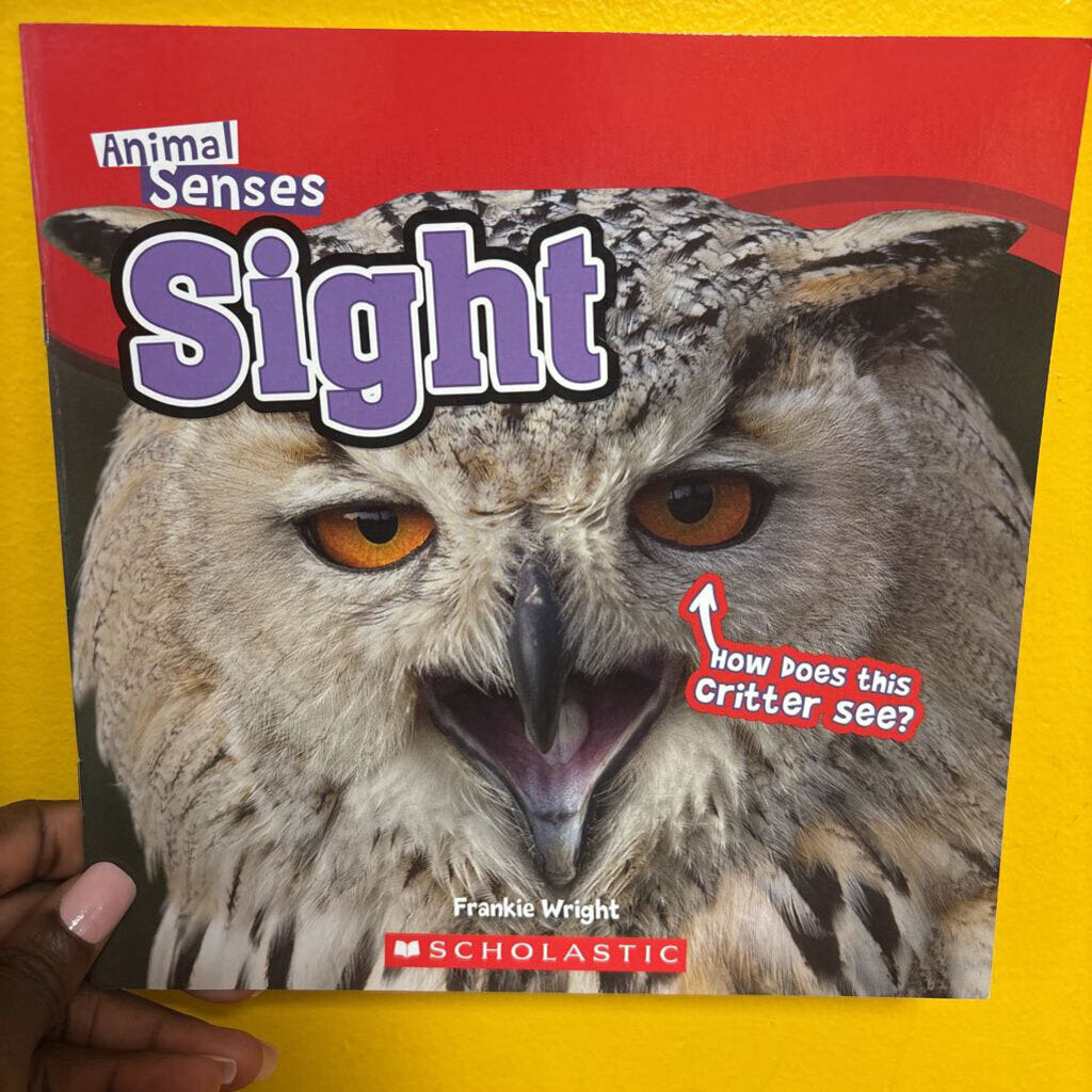 Animal Senses Sight