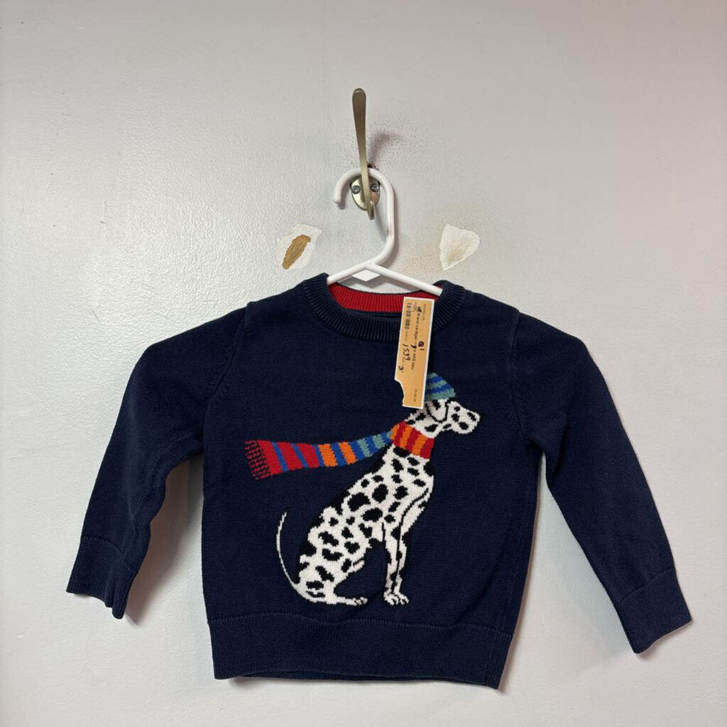cardigan +/-3-4 ANS