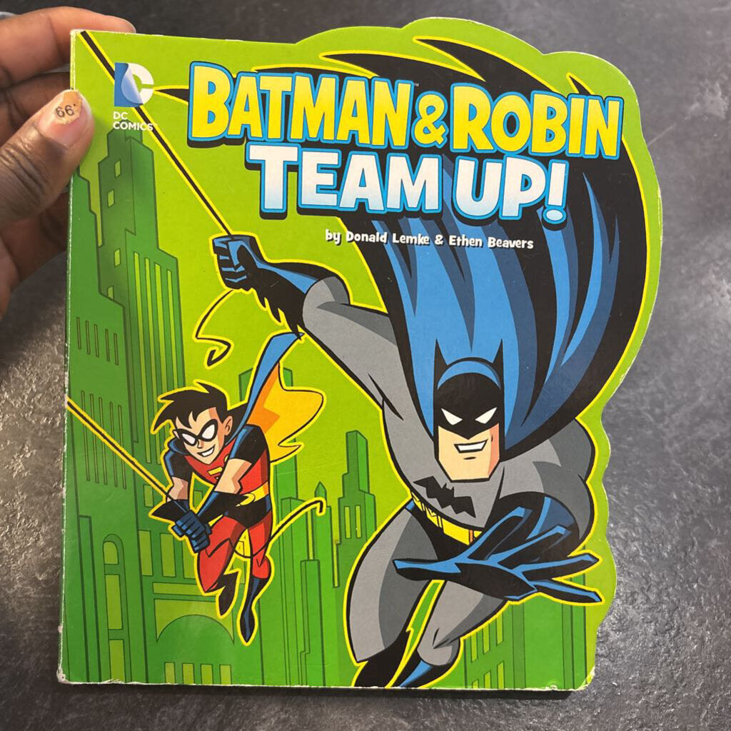 Batman & Robin Team up