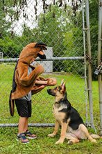 Charger l&#39;image dans la galerie, DEGUISEMENT 1 pc Cape Chien SHEPHERD Dog 4-6 ans
