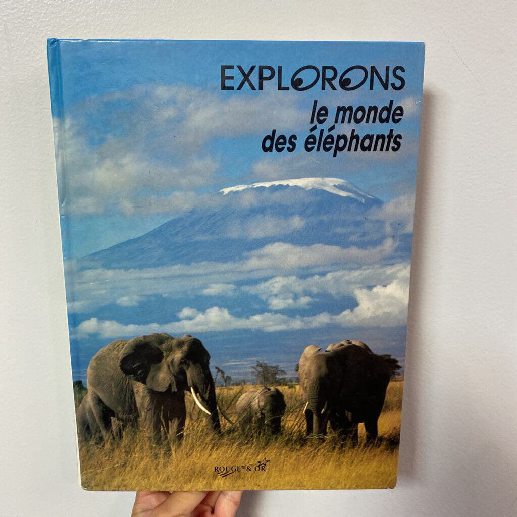 Explorons le monde des elephants