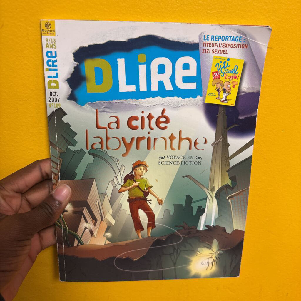 D Lire - La cite Labyrinthe