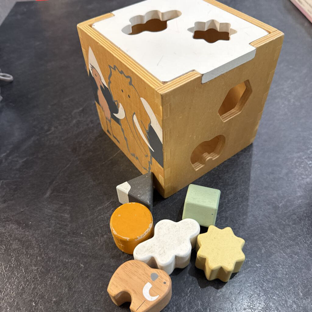 Boite Trieur de formes avec 6 formes en BOIS