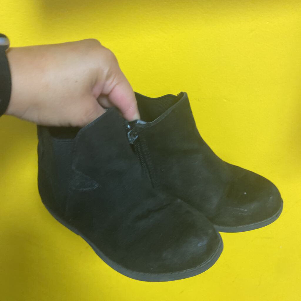 Botillos printemps automne - 8