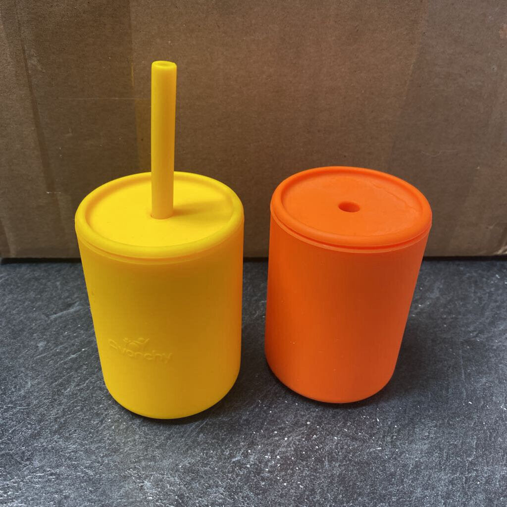 Lot de 2 verre avec couverture + 1 paille en SILICONE