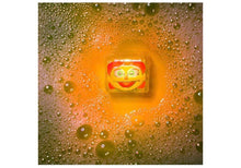Charger l'image dans la galerie, Paque de 4 cubes qui ILLUMINENT DANS L'EAU - Licensed Light Up Cubes - Sesame Street JULIA
