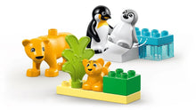 Charger l'image dans la galerie, DUPLO Familles d’animaux sauvages : Pingouins et lions - 10442
