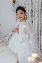 Charger l'image dans la galerie, DEGUISEMENT 1 pc WINTER tutut - Winter Wonderland Tutu - 4-6 ans
